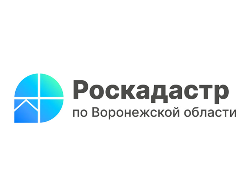 Специалисты Роскадастра расскажут воронежцам о выписках из ЕГРН.
